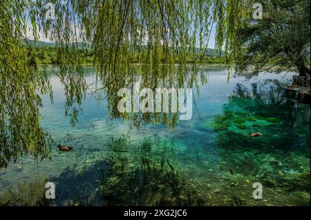 Il lago di posta Fibreno si trova in Valle Comino. Oltre alla sua fauna endemica, il lago è noto per la presenza di una isl galleggiante naturale Foto Stock