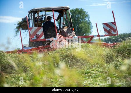 Kaltenbrunn, Germania. 6 luglio 2024. Un contadino gira il fieno in un prato tagliato mentre splende il sole. Il clima instabile di giugno ha reso il fieno un compito da snervamento quest'anno. Crediti: Pia Bayer/dpa/Alamy Live News Foto Stock