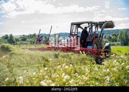 Kaltenbrunn, Germania. 6 luglio 2024. Un contadino gira il fieno in un prato tagliato mentre splende il sole. Il clima instabile di giugno ha reso il fieno un compito da snervamento quest'anno. Crediti: Pia Bayer/dpa/Alamy Live News Foto Stock