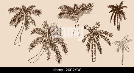 Set di palmo, schizzo, stile doodle disegnato a mano Illustrazione Vettoriale
