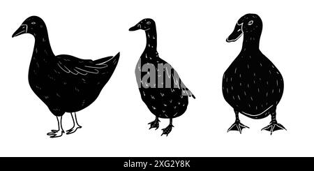 Set di linecut isolata d'oca, anatra di colore nero. Stile grafico. Illustrazione Vettoriale