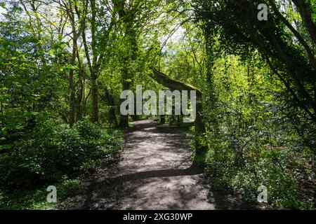 Stenner Woods a Fletcher Moss, Didsbury, Greater Manchester. Una riserva naturale accanto al fiume Mersey. Foto Stock