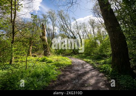 Stenner Woods a Fletcher Moss, Didsbury, Greater Manchester. Una riserva naturale accanto al fiume Mersey. Foto Stock