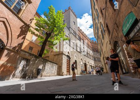 Siena, Italia - 01 giugno 2024: Splendida strada di siena. Vista dal basso verso l'alto. Albero che cresce tra due edifici. Foto Stock