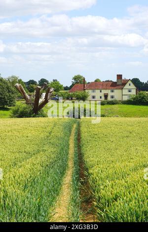 Little Lodge Farm, Castle Hedingham Foto Stock