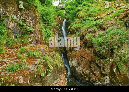 Cascata Aira Force, la cascata a goccia più alta d'Inghilterra nel Lake District National Park Foto Stock