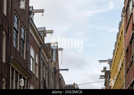 Egelantiersstraat, una strada di case strette e alte dai tetti spioventi tradizionali con paranchi ad Amsterdam. Foto Stock