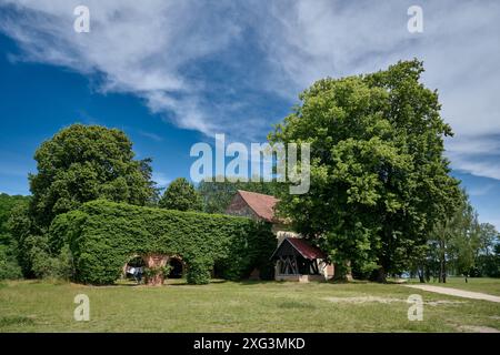 Rovine del monastero cistercense di Himmelpfort, Casa di Natale Himmelpfort, Uckermark, Brandeburgo, Germania, Europa Foto Stock