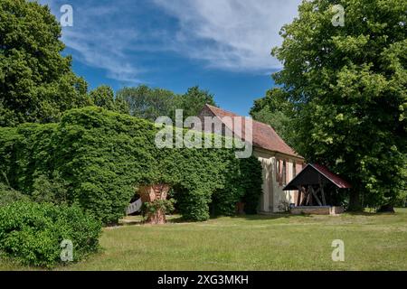 Rovine del monastero cistercense di Himmelpfort, Casa di Natale Himmelpfort, Uckermark, Brandeburgo, Germania, Europa Foto Stock