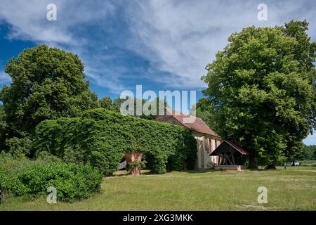 Rovine del monastero cistercense di Himmelpfort, Casa di Natale Himmelpfort, Uckermark, Brandeburgo, Germania, Europa Foto Stock