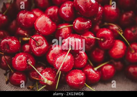 Frutta fresca e salutare nella stagione estiva ciliegie fresche lavate con gocce d'acqua da vicino Foto Stock