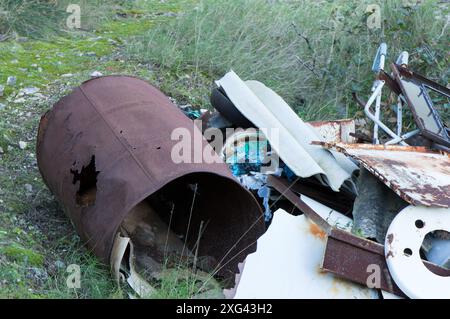 Pile di rifiuti nella foresta, negligenza umana sulla natura, rottami metallici Foto Stock