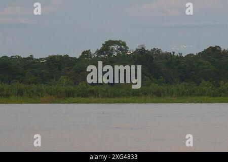 Vista aerea panoramica del villaggio della foresta pluviale amazzonica sul fiume con vegetazione lussureggiante Foto Stock