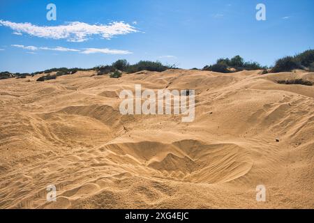 Dozzine di pozzi di nidificazione in spiaggia e dune, scavate da tartarughe che deporvano le loro uova. Jurabi Coastal Park, Ningaloo Coast, Exmouth, Australia Occidentale Foto Stock