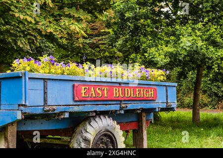 East Budleigh in mostra Bloom Flower. Un villaggio situato nel cuore della contea di Devon. Foto Stock