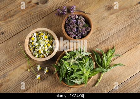 Diverse erbe curative in ciotole su tavola di legno, piatto Foto Stock