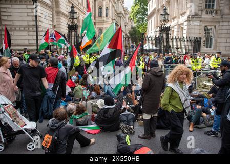 Londra, Regno Unito. 6 luglio 2024. Durante la manifestazione si vedono manifestanti sdraiati sulla strada fuori Downing Street. Migliaia di attivisti e sostenitori filo-palestinesi hanno marciato nel centro di Londra. I manifestanti chiedono al governo britannico di smettere di armare Israele e di chiedere un cessate il fuoco permanente durante la guerra israelo-Gaza. Credito: SOPA Images Limited/Alamy Live News Foto Stock