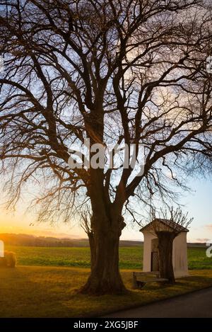 Sunset over wheat field with path and chapel Foto Stock