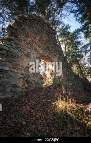 Rovine di un monastero abadonato in una foresta nel Burgenland Landsee Foto Stock