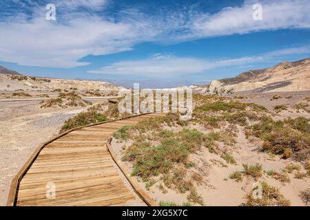 Salt Creek Interpretive Trail nel Death Valley National Park Foto Stock