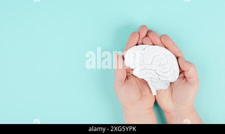 Tenere un cervello nelle mani, morbo di Parkinson, Alzheimer, demenza disturbo mentale, problemi psicologici, trombosi venosa cerebrale Foto Stock