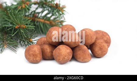 Patate marzapane, in tedesco chiamato Marzipankartoffeln, con cacao in polvere, dolci per natale, spazio vuoto copia Foto Stock