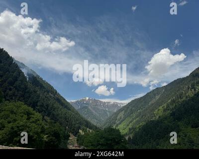 India. 6 luglio 2024. Naranag è un tempio indù circondato da montagne. E' un'attrazione turistica che si trova nel quartiere di Ganderbal a circa 60 km da Srinagar, capitale estiva di Jammu e Kashmir. Non solo attrazioni turistiche, ma Naranag funge anche da base per gli escursionisti. Sulla cima delle montagne si trova un bellissimo lago chiamato "lago gangbale". Che collega il sentiero con altre destinazioni di trekking popolari. (Foto di Musaib Iqbal Bhat/Pacific Press) credito: Pacific Press Media Production Corp./Alamy Live News Foto Stock