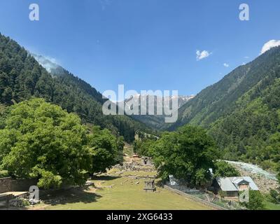 India. 6 luglio 2024. Naranag è un tempio indù circondato da montagne. E' un'attrazione turistica che si trova nel quartiere di Ganderbal a circa 60 km da Srinagar, capitale estiva di Jammu e Kashmir. Non solo attrazioni turistiche, ma Naranag funge anche da base per gli escursionisti. Sulla cima delle montagne si trova un bellissimo lago chiamato "lago gangbale". Che collega il sentiero con altre destinazioni di trekking popolari. (Foto di Musaib Iqbal Bhat/Pacific Press) credito: Pacific Press Media Production Corp./Alamy Live News Foto Stock