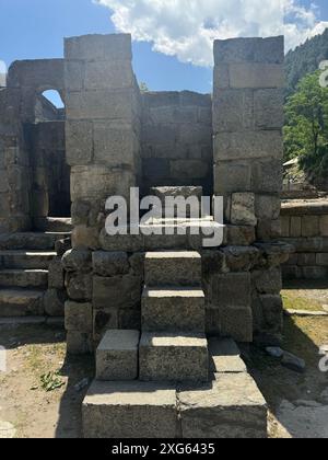 India. 6 luglio 2024. Naranag è un tempio indù circondato da montagne. E' un'attrazione turistica che si trova nel quartiere di Ganderbal a circa 60 km da Srinagar, capitale estiva di Jammu e Kashmir. Non solo attrazioni turistiche, ma Naranag funge anche da base per gli escursionisti. Sulla cima delle montagne si trova un bellissimo lago chiamato "lago gangbale". Che collega il sentiero con altre destinazioni di trekking popolari. (Foto di Musaib Iqbal Bhat/Pacific Press) credito: Pacific Press Media Production Corp./Alamy Live News Foto Stock