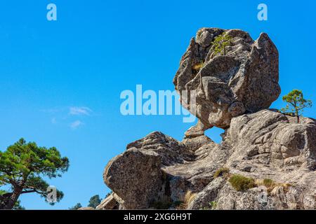 FRANCIA. CORSO DEL SUD (2A)MASSICCIO DELL'ALTA ROCCA, FORET DE L'OSPEDALE, SUL SENTIERO PER LA PISCIA DI GALLU CASCADE, LE ROCHER SENTINELLE, ROCHER COEUR COUCHE Foto Stock