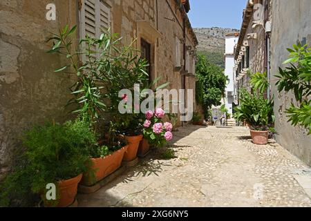 Vicolo stretto nella città vecchia di Dubrovnik Foto Stock