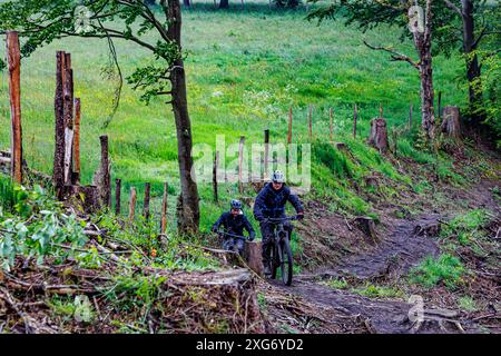 Waimes, Belgio. 2 giugno 2024. Due ciclisti che pedalano in mountain bike su un sentiero fangoso, colline deboscate nella valle del Warche, erba verde nel backgroun Foto Stock