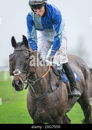 Gare di Wincanton, Sesta gara, 8 gennaio 2022 Foto Stock