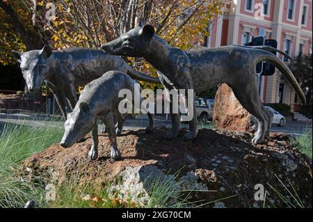 Una scultura di quattro tigri della Tasmania in Civic Square a Launceston, Tasmania, Australia. La tigre della Tasmania, Thylacinus cynocephalus, è ormai estinta. Foto Stock