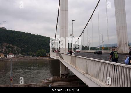 Ponte Elisabetta sul Danubio a Budapest, Ungheria Foto Stock