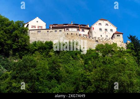 Il Castello di Vaduz è la residenza ufficiale del Principe del Liechtenstein. Il Palazzo prende il nome dalla città di Vaduz, la capitale del Liechtenstein. Foto Stock