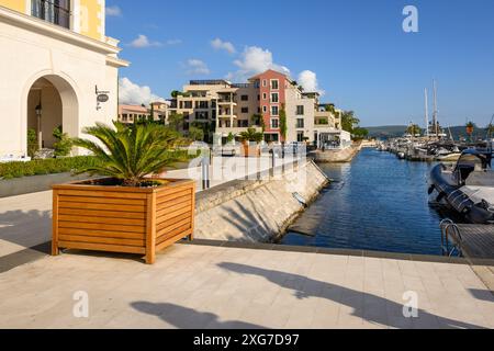 Tivat, Montenegro - 8 giugno 2022: Passeggiata sul mare con residenze sul lungomare a Porto Montenegro. Montenegro, Europa Foto Stock