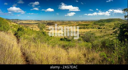 Coalstoun Lakes National Park, Queensland, Australia Foto Stock