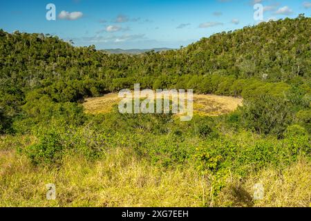 Coalstoun Lakes National Park, Queensland, Australia Foto Stock