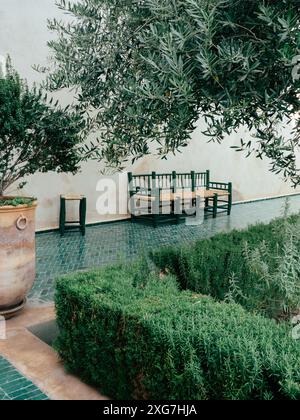 Tranquillo patio all'aperto con vegetazione lussureggiante, panche in legno e un'atmosfera serena. Ideale per rilassarsi e godersi la natura. Foto Stock