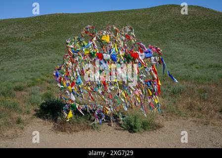 REGIONE DI ASTRAKHAN, RUSSIA - 7 MAGGIO 2024: L'albero dei desideri nella montagna sacra Bolshoe Bogdo. Regione di Astrakhan, Russia Foto Stock