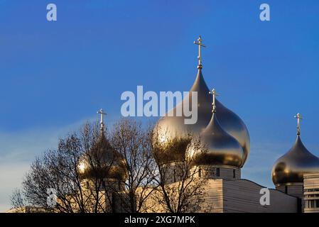 FRANCIA, PARIGI (75) 7 ° ARRONDISSEMENT, CATTEDRALE DELLA SANTISSIMA TRINITÀ DEL CENTRO SPIRITUALE E CULTURALE RUSSO ORTODOSSO, COSTRUITO DALL'ARCHITETTO FRANCESE JEA Foto Stock