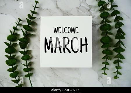 Testo di benvenuto di marzo su carta con decorazione a foglie di eucalipto vista dall'alto su sfondo in marmo Foto Stock