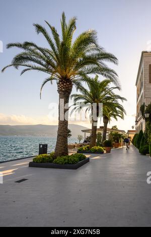 Tivat, Montenegro - 8 giugno 2022: Splendida passeggiata con palme nel porto marittimo di Tivat, Montenegro. Baia di Kotor Foto Stock