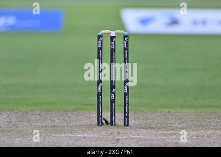 Edgbaston, Birmingham, Regno Unito. 7 luglio 2024. World Championship of Legends T20 Cricket League, campioni delle Indie occidentali contro campioni del Sud Africa; Un dettaglio del Wicket Credit: Action Plus Sports/Alamy Live News Foto Stock