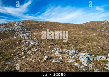 Pascoli invernali senza neve nei monti del Giura, Vaud, Svizzera Foto Stock