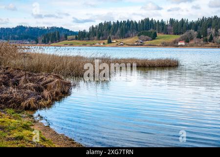 LAC de Saint-Point e Lac de Malbuisson: Crepuscolo notturno invernale vicino a Pontarlier, Doubs Foto Stock