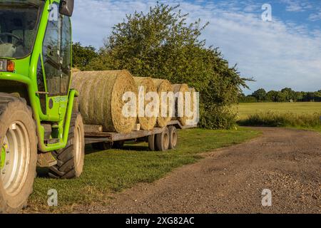 Le balle di fieno appena tagliate e raccolte all'inizio di luglio vengono caricate e pronte per l'asciugatura e poi immagazzinate fino all'arrivo dell'inverno nel Regno Unito, Graveley Hertfordshire Foto Stock
