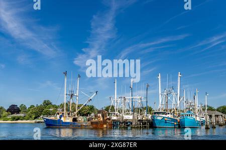 Gruppo di pescherecci commerciali nel molo di Greenport, new york Foto Stock