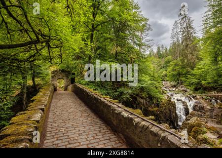 Il ponte Hermitage sul fiume Braan e le cascate Black Linn, l'Hermitage, Dunkeld, Perth e Kinross, Scozia Foto Stock